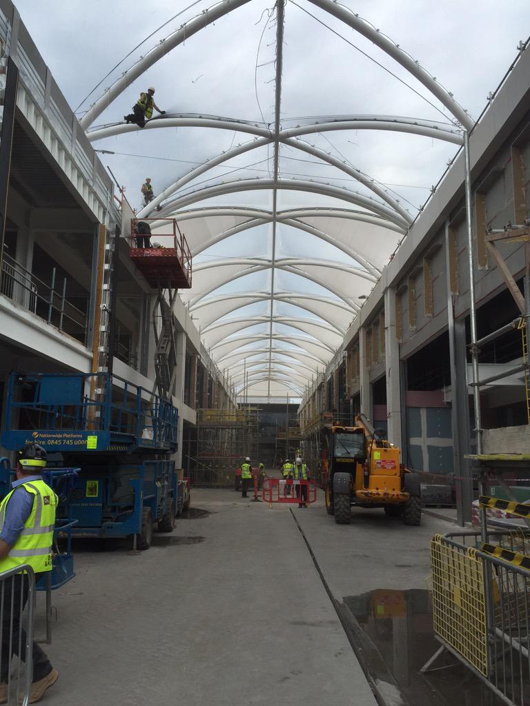 Bingham Hall tweet media