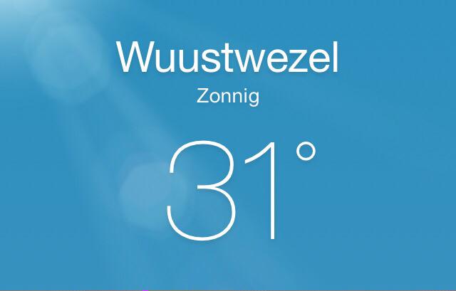 Stig_V's tweet photo. Een temperatuur waar zelfs Tabasco jaloers op is! #hittegolf #kantoorquotes #heet #heter #heetst http://t.co/2E9tJEq1Os