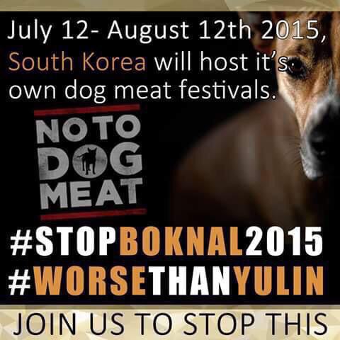 WTF is wrong with the humanity?!?Poor creatures 😭
Help here: notodogmeat.com

#StopBokNal2015 #WorseThanYulin