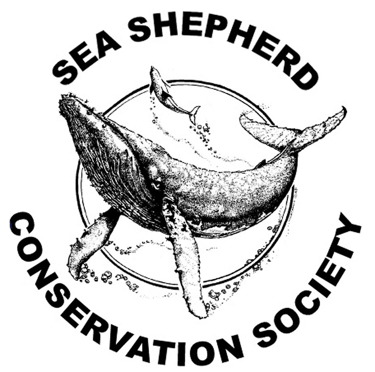 EarthAngelFair's tweet photo. Dank! allen die een bijdrage hebben gedaan in de donatiepot. Met mijn aandeel doneer ik dit aan Sea Shepherd. http://t.co/xnLsehyb05