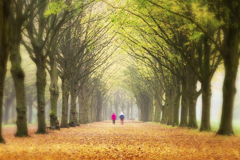 Find out Why it's time to turn back the clock on Baby Boomers campaignlive.com/article/why-it…