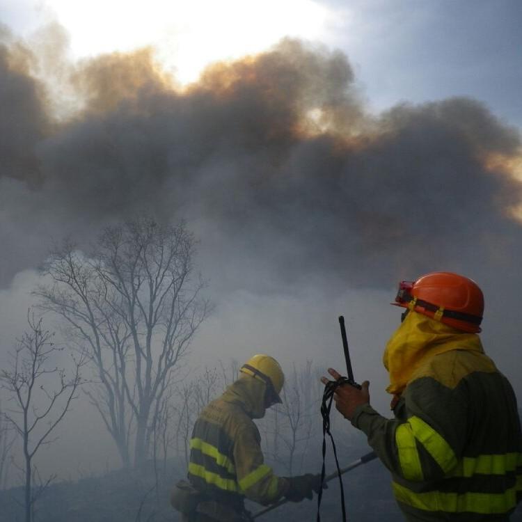 apamcyl's tweet photo. SE SUPONE que hoy comienza el personal de incendios al completo en #CyL Buena Campaña y Suerte a tod@s #IIFF #AAMM http://t.co/yoeNay36tA