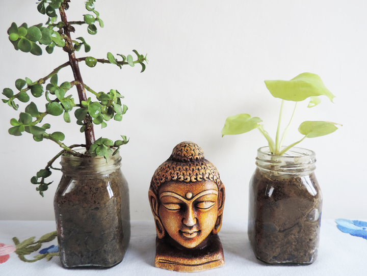 mylolchef's tweet photo. This is how we reused our jars. Click a picture and post it here to show us how you do it #MiniPlanters #DIY #LolChef http://t.co/WJrXijWdJN