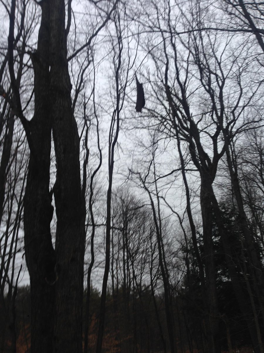 dietrich3141592's tweet photo. Energized by evolution @BUEvoS    #MyTopCollege @binghamtonu @Forbes http://t.co/m5VQcaiyIu