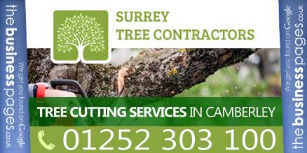 BusinessPagesUK's tweet photo. @treecontractors Tel: 01252 303 100 #treecuttingservices in #Camberley http://t.co/lfgkbszGEa #surrey #trees http://t.co/GjsRknqqM0