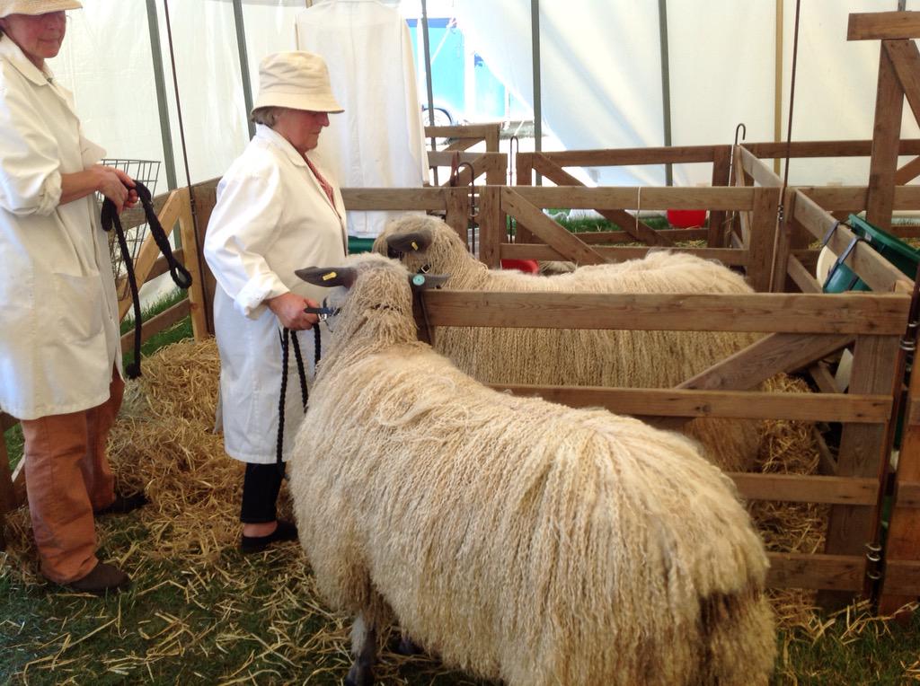 BBCNorfolk's tweet image. Some of this afternoon's @norfolkshow photos in the sunshine!