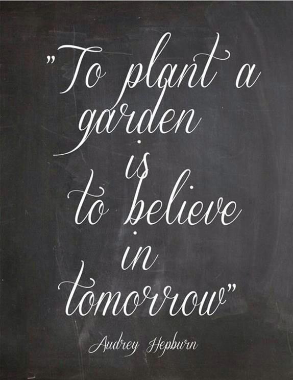 fbcsgarden's tweet photo. We want to feed those who worry about tomorrow. #community #UrbanGarden #FeedTheHungry #loveothers #growfood #Hisland http://t.co/FVVag7dX23