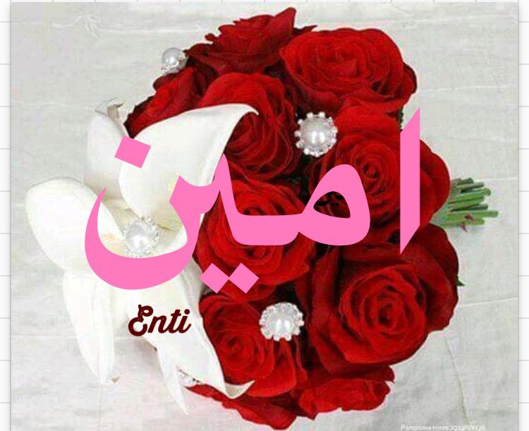 DreemEnti's tweet photo. @1407kate @KamilReem @saber9876 @mmesbah6 @782782A http://t.co/qoFW86klhm