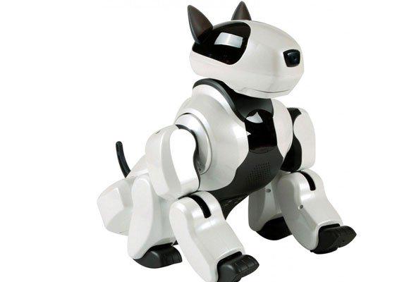 TheLuxonomist's tweet image. 16 años después Aibo sigue emocionando aunque @Sony ya no lo fabrique #perrorobot ow.ly/P2uLj @lentejitas