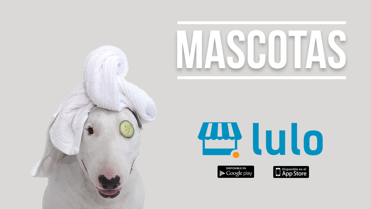 LuloDomicilios's tweet photo. Los mejores productos para tu mascota solo los encuentras en Lulo :) domicilios en menos de 1 Hora. http://t.co/V38gE3W8XP