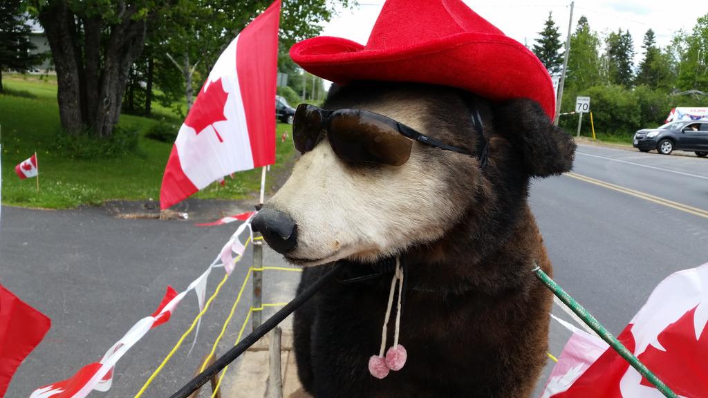 darceymcl's tweet photo. Blackville parade starting to come together. @959sunfm @BlackvilleNB #95DaysOfSummer http://t.co/VBm6MaLrzK