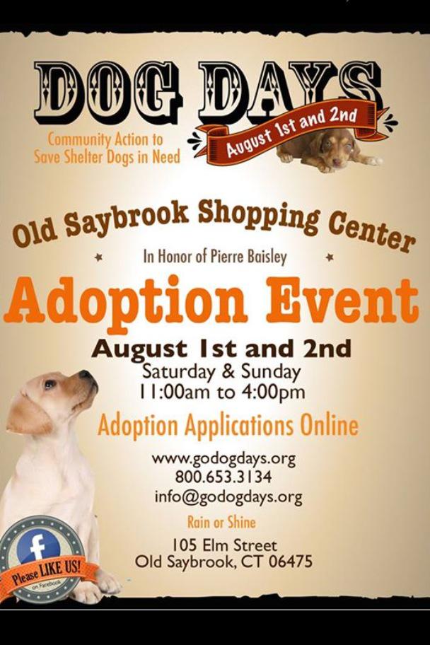 RedDogProjectCT's tweet image. One Month Away!! Send your applications today godogdays.org