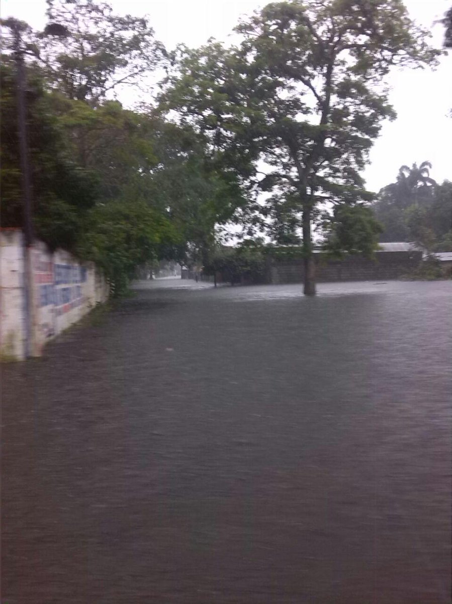 Calle garabato, parroquia Guasdualito. #GuasdualitoenEmergencia