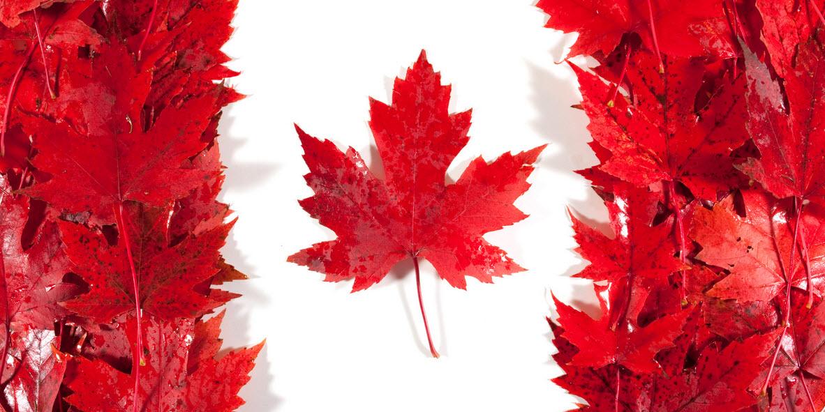 Happy Canada Day to our friends up North! 
Enjoy the parades, carnivals, festivals, barbecues and fireworks