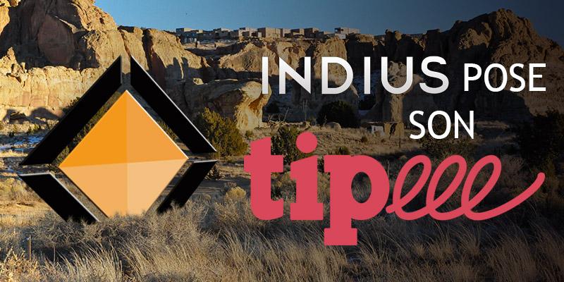 Indius, l'indécrypté tweet media