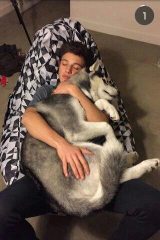 anespjgdr's tweet photo. cucciolo mio); http://t.co/OBWyZVZJ9Y