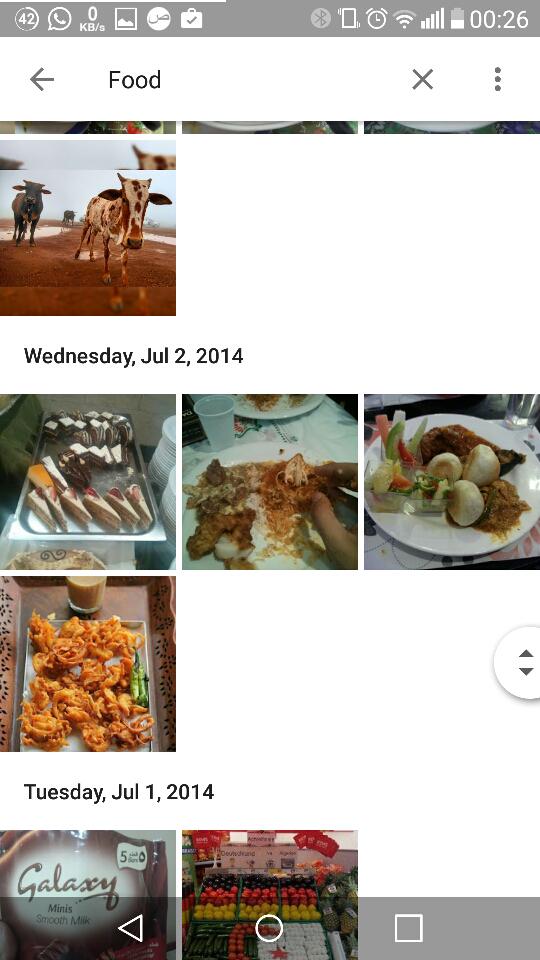aatifsumar's tweet image. Hahahaha look what Google Photos put under the Food category #BeefBan #BanGoogle