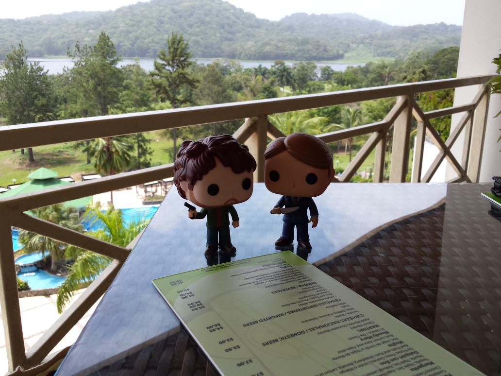 HRHCoCo's tweet photo. @Tattle_Crime #Hannigram sailing off into the sunset aka nonextradition country via Panama Canal #FunkoFannibalFun http://t.co/AZrgDIF1ca