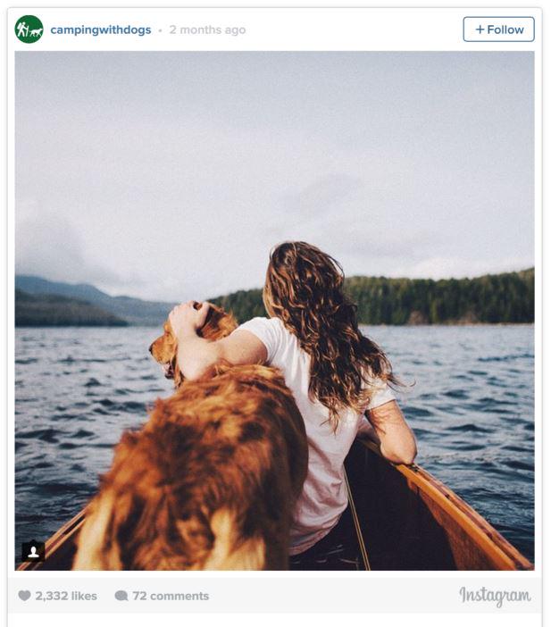 Summer Vibes: #Camping With #Dogs on #Instagram - #SummerTimeandTheLivingisEasy @DogMilk ow.ly/P3ox0