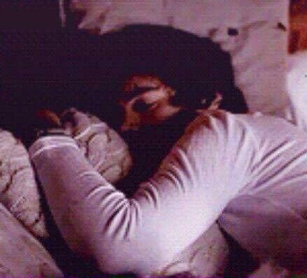 Here kitty kitty kitty - Zayn