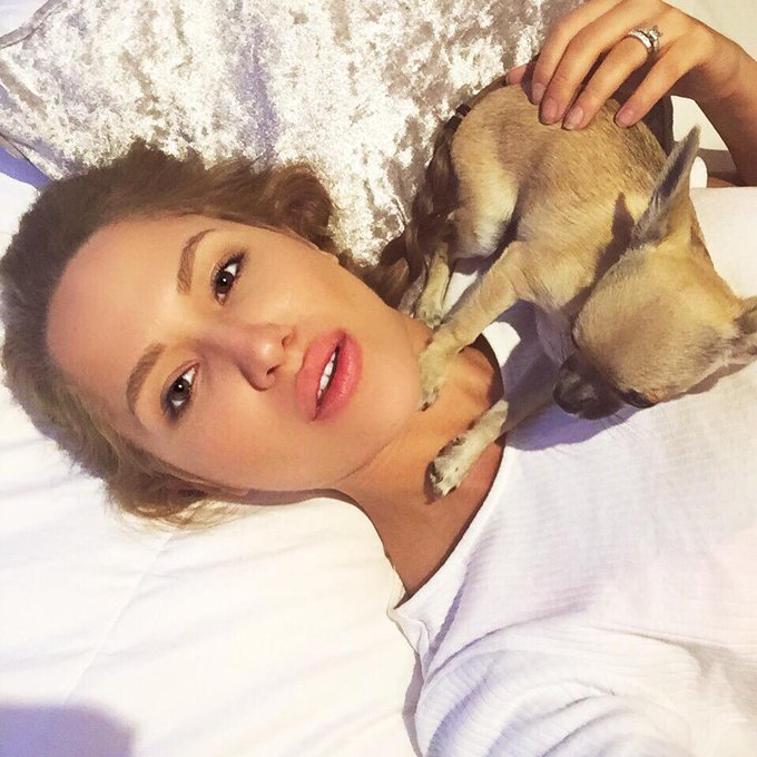 Puppy goals #puppy http://t.co/58q99OBePB<a href="/tag/puppy"class="tags">#puppy</a>