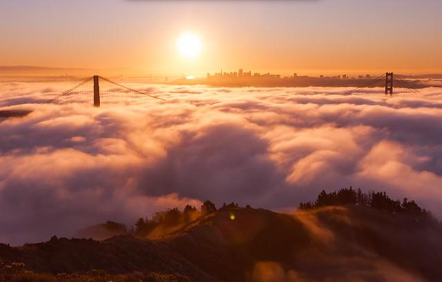 SFist's tweet photo. New Yorker finds himself charmed by SF’s panhandlers, parks, beauty, writes about it. http://t.co/BIugaLBlOV http://t.co/ujYOGTgn7u