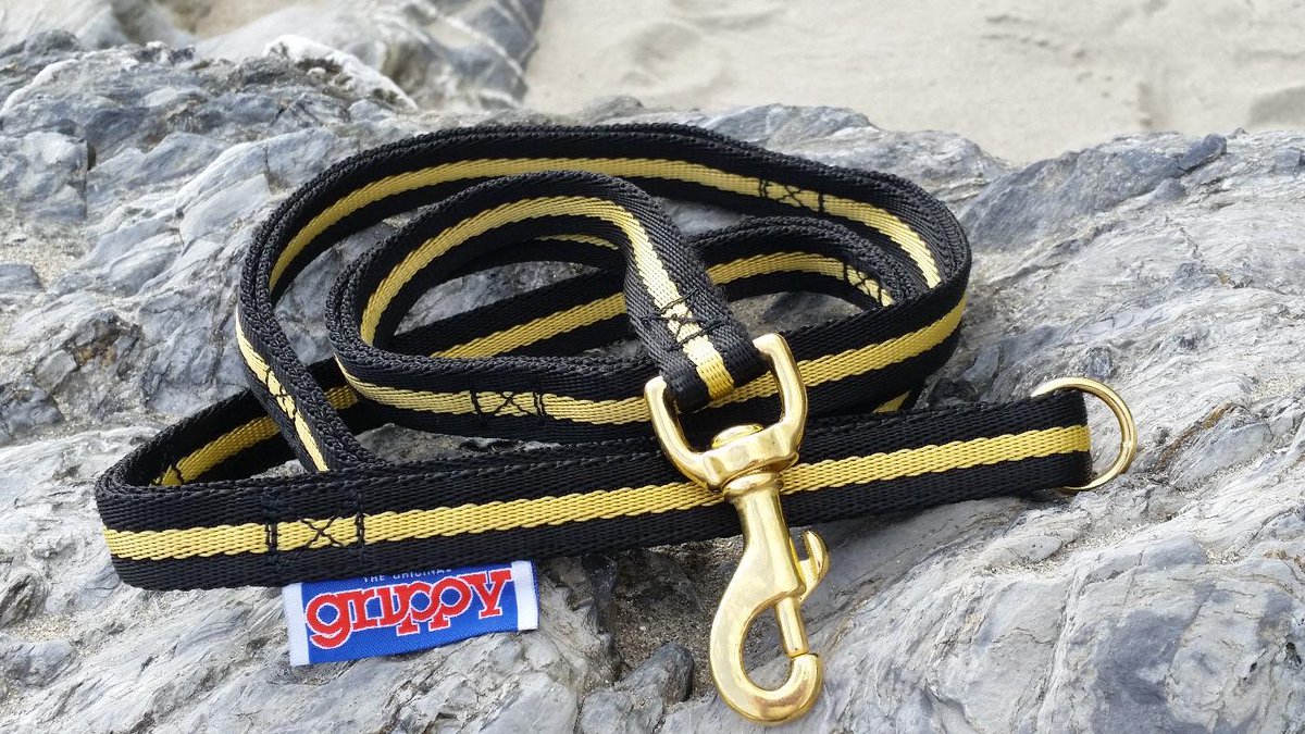 GrippyLeads's tweet photo. #woofwoofwednesday Award winning #multiloop #Grippy leads are designed & made in Cornwall. Happy dog walking! 🐶🐾 http://t.co/bDpuU5LKBC
