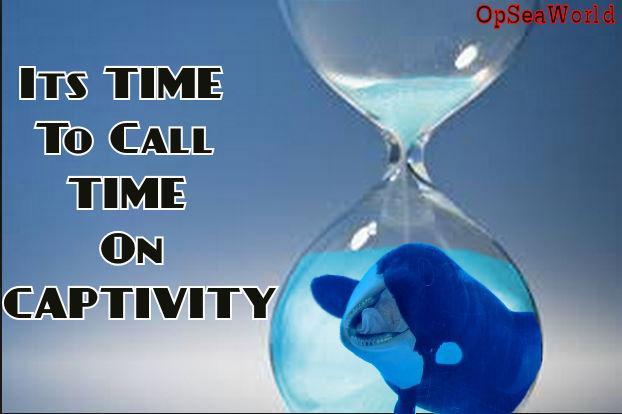 Organic View Radio tweet media