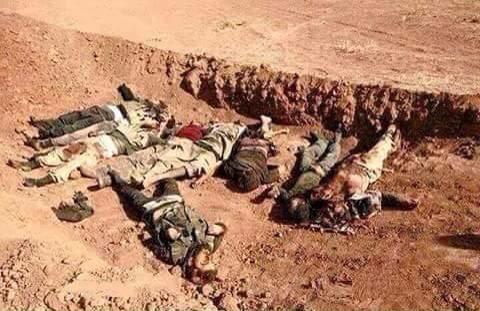 Ghada Sweilam ‏🇪🇬 tweet media