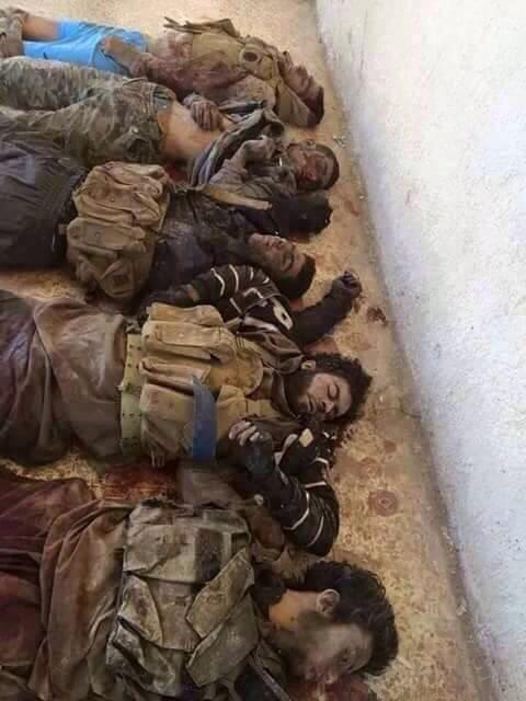 Ghada Sweilam ‏🇪🇬 tweet media