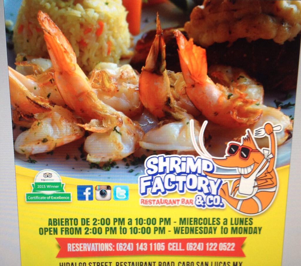 SHRIMPFACTORY's tweet photo. http://t.co/j3l8ML51Q7