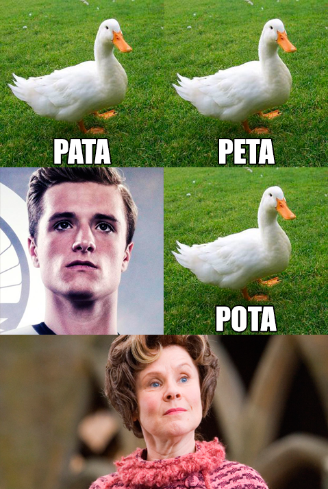 EiProfeta's tweet photo. Ba dum tss! http://t.co/hcsOwjM1PP