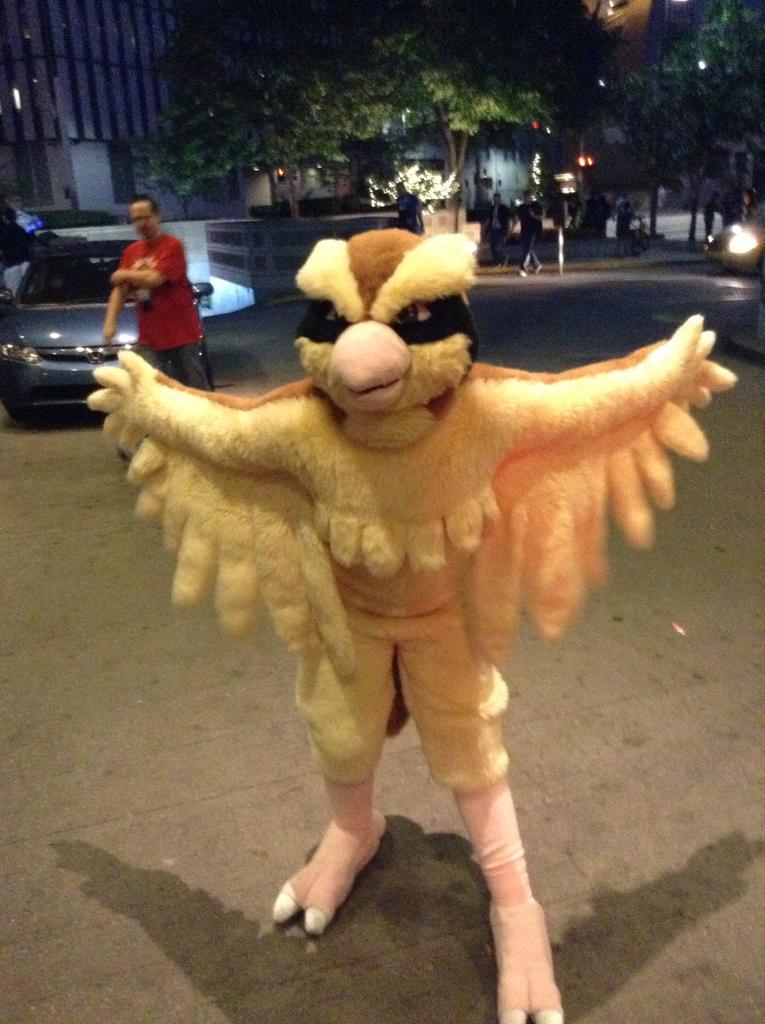 Pokemonfursuits's tweet photo. Pidgey owned by @Origamigryphon! http://t.co/eb5pO3p7uX