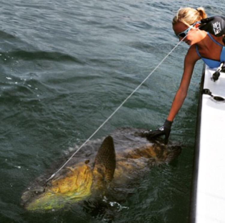 #WCW with @chasten_whitfish and a massive goliath grouper! #teamoutdoors360
・・・
Love catching these💙👌🏽 #outdoors360