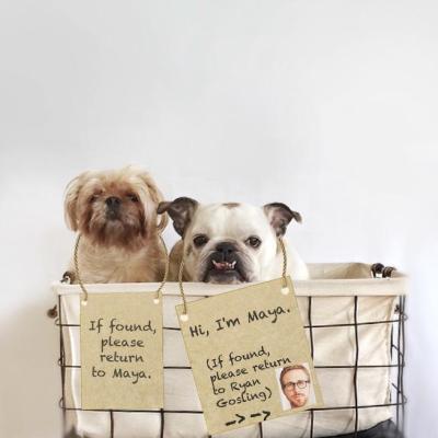 denverpost's tweet photo. Did you know more pets go missing on the #4thofJuly weekend than any other time? http://t.co/RNNZax6yHq #lost4dogs http://t.co/lZMqv6fu09