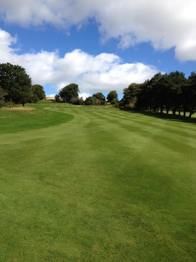 ryan flowers tweet media