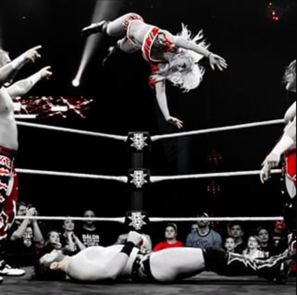 moxleybanks's tweet photo. A poster like this? @WWEShop #BAMFmerch @AlexaBliss_WWE @WWE_Murphy @TheWWEBlake http://t.co/qKiu6KHlKw
