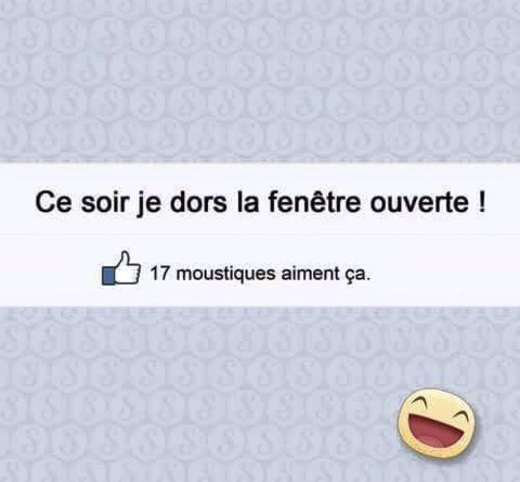 Amélie Neten tweet media