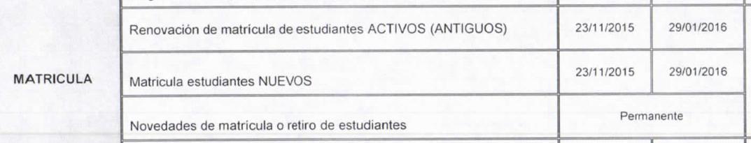 sedguaviare's tweet photo. Padres de Familia y/o acudiente recuerden q es su responsabilidad  MATRICULAR A TIEMPO. Pasa la voz! http://t.co/asGTZMHyrD