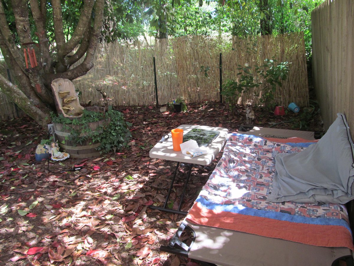 SrhAnneWgr's tweet photo. too nice to be indoors, writing in my corner for the first time this year. #WhereIWrite #myownlittlecorner #amwriting http://t.co/piqXaxZ1Sf