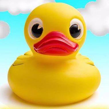 Duck Race <a href="/HovinghamV/">Hovingham Village</a>  this Sat in aid of Church Roof Appeal. Ducks on sale <a href="/hovinghammarket/">Hovingham Market</a> <a href="/CBYorks/">CatB</a> @GillingEastVH