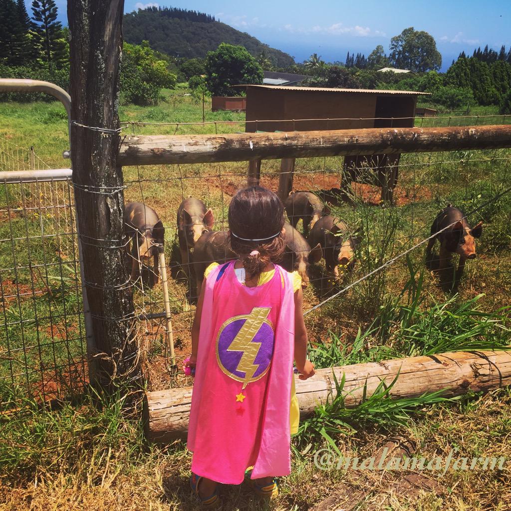 MalamaFarm's tweet photo. Superhero-farmgirl: saving pigs from confinement and inhumanity one day at a time. #farmkids #princessescanrescuetoo http://t.co/uIRohmemxB