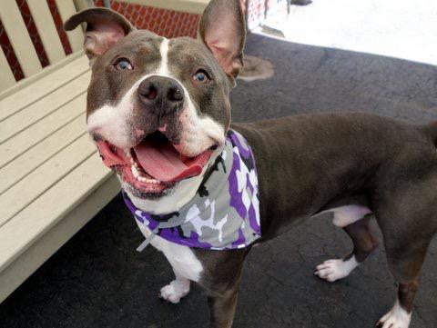 Southern Pride tweet media