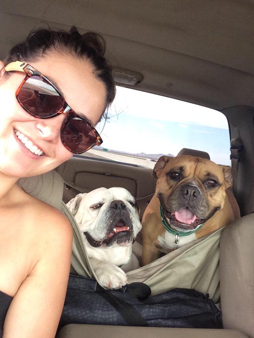 Road trip to the family for 4th of July weekend :) http://t.co/N3ebQzXMcA<a href="/tag/starwars"class="tags"><span>#starwars</span></a><a href="/tag/sandiego"class="tags"><span>#sandiego</span></a>