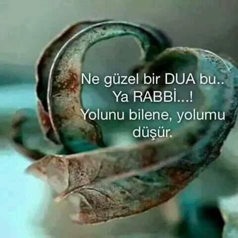 idemYksel13's tweet photo. Âmin http://t.co/5Hyt5bhxC3