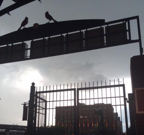 View image on Twitter