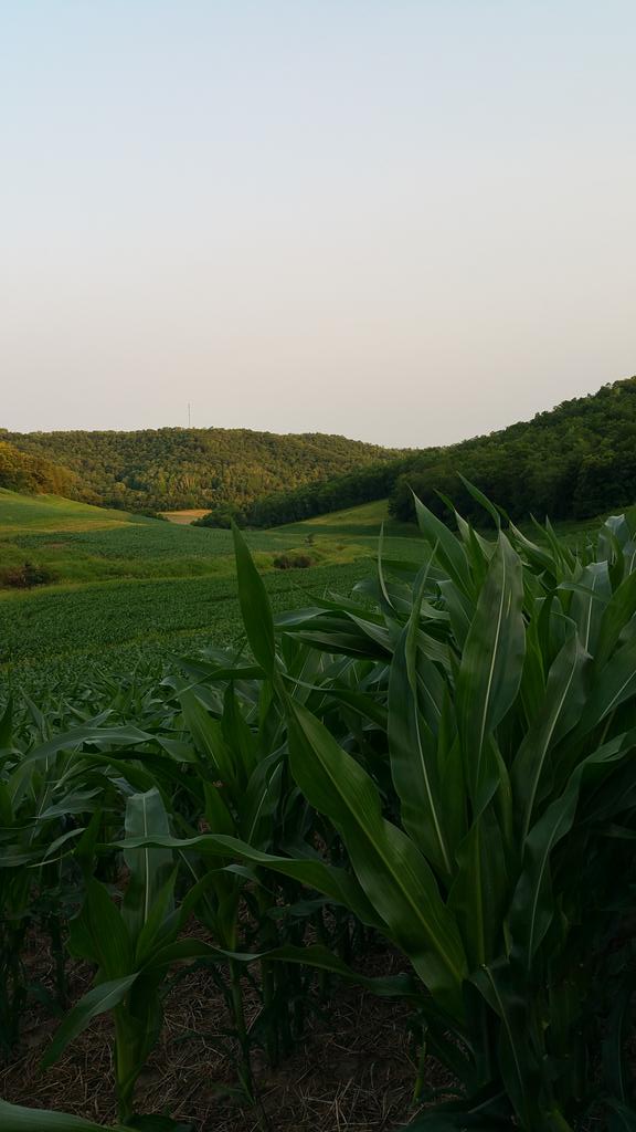 RyanMiller0387's tweet image. Doing a little #summerscouting this beautiful July evening