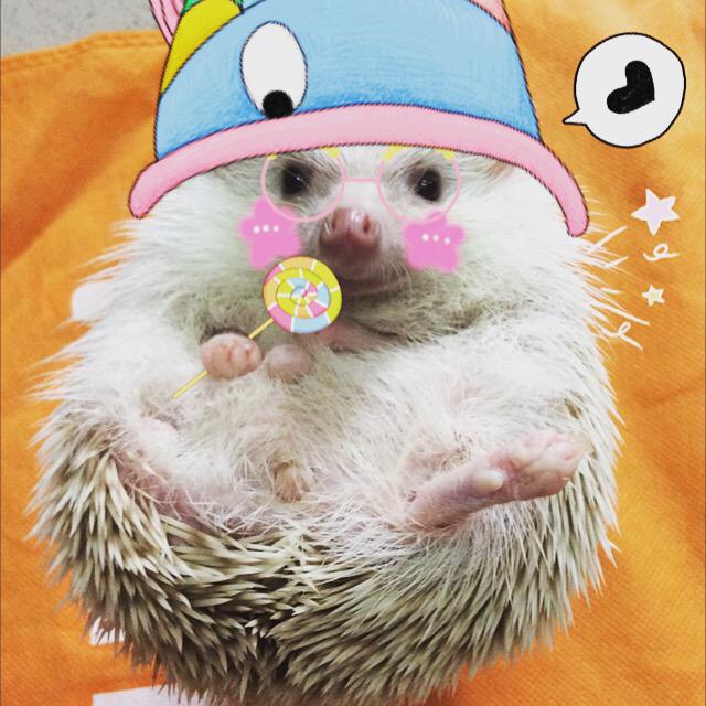 zlins's tweet photo. http://t.co/70Uh5r4VZv