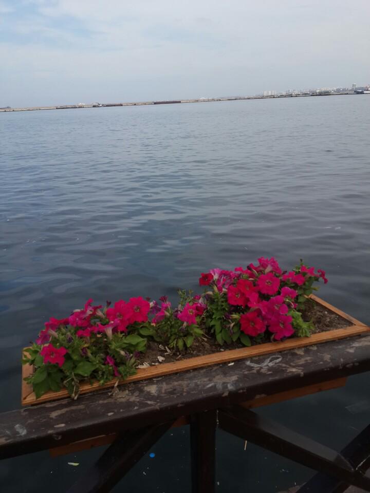 alahattin's tweet photo. I'm at Pasaport in İzmir https://t.co/egUsIHOokv http://t.co/uslF8dg46C