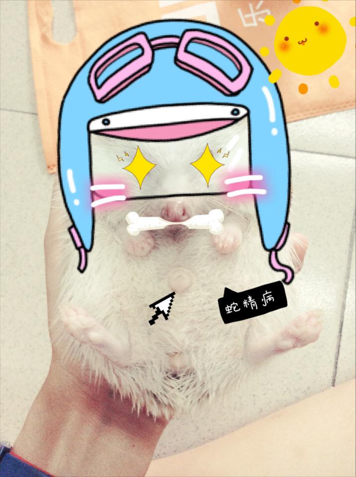 zlins's tweet photo. 今天也是sabi的一天 http://t.co/eMO5TrCxzx